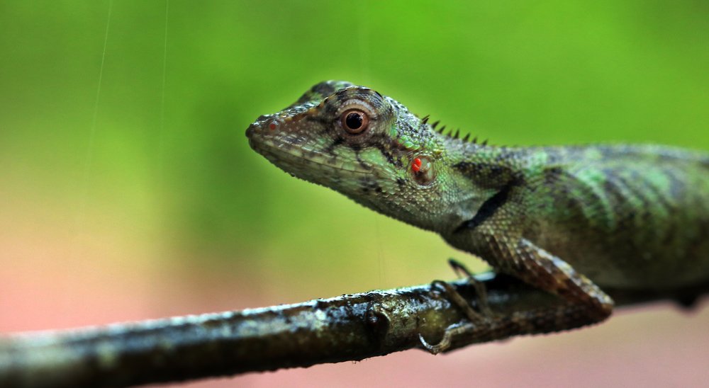 Photograph by bhaskar burman