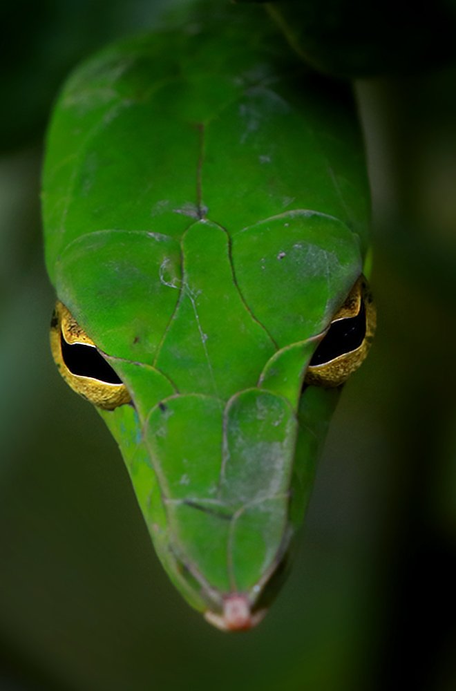 Photograph by bhaskar burman