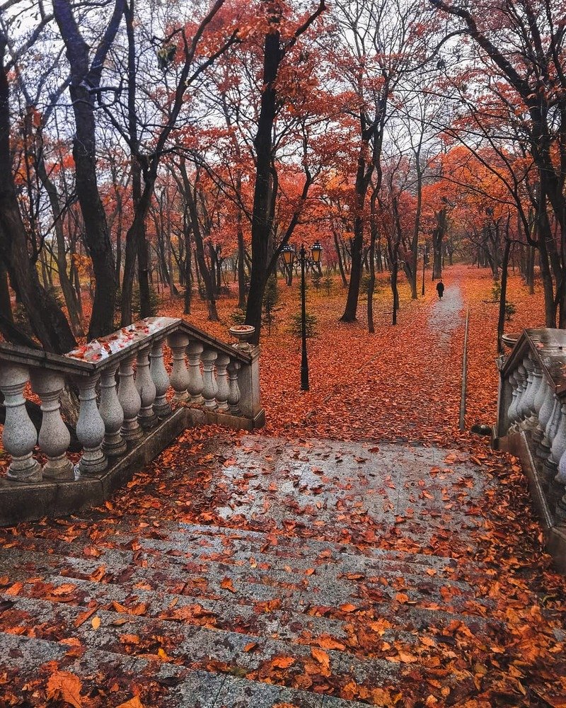 Photograph by Татьяна Сорока