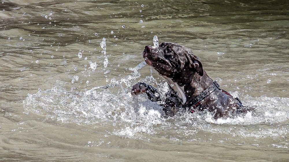 Photograph by Elena Gebert