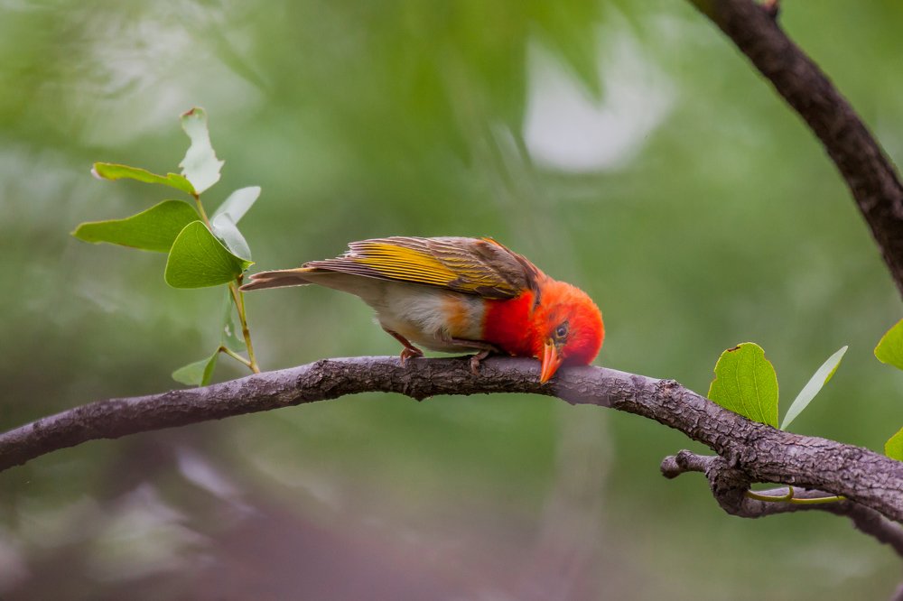 Photograph by Ali Dhanji
