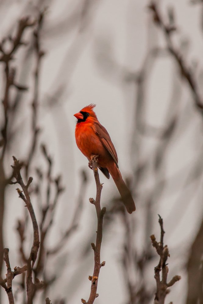 Photograph by Ali Dhanji