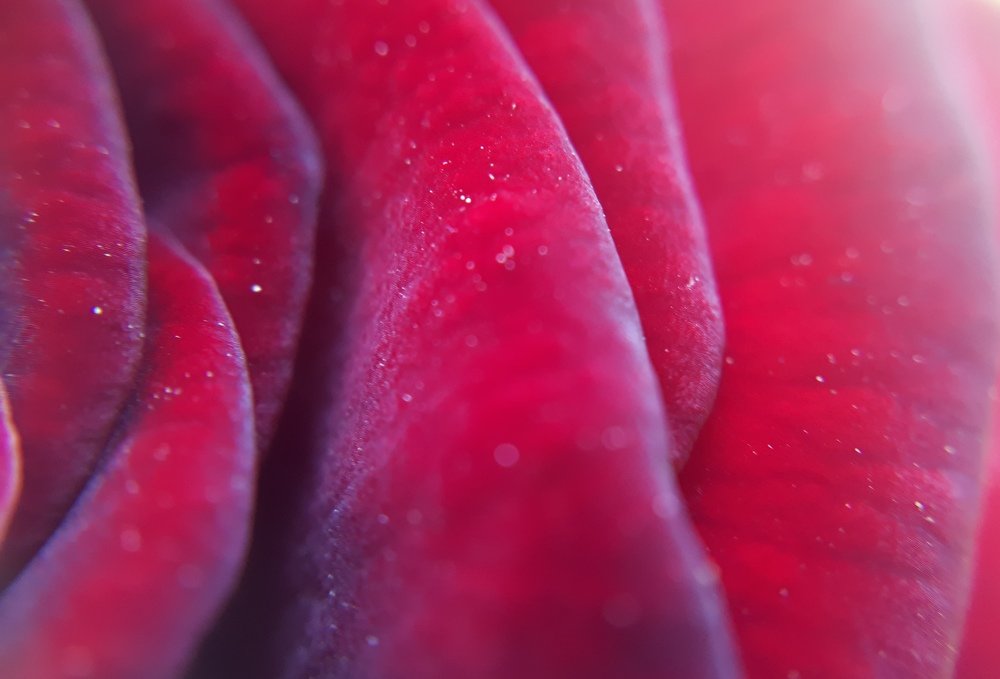 Photograph by Аркадий Смирнов