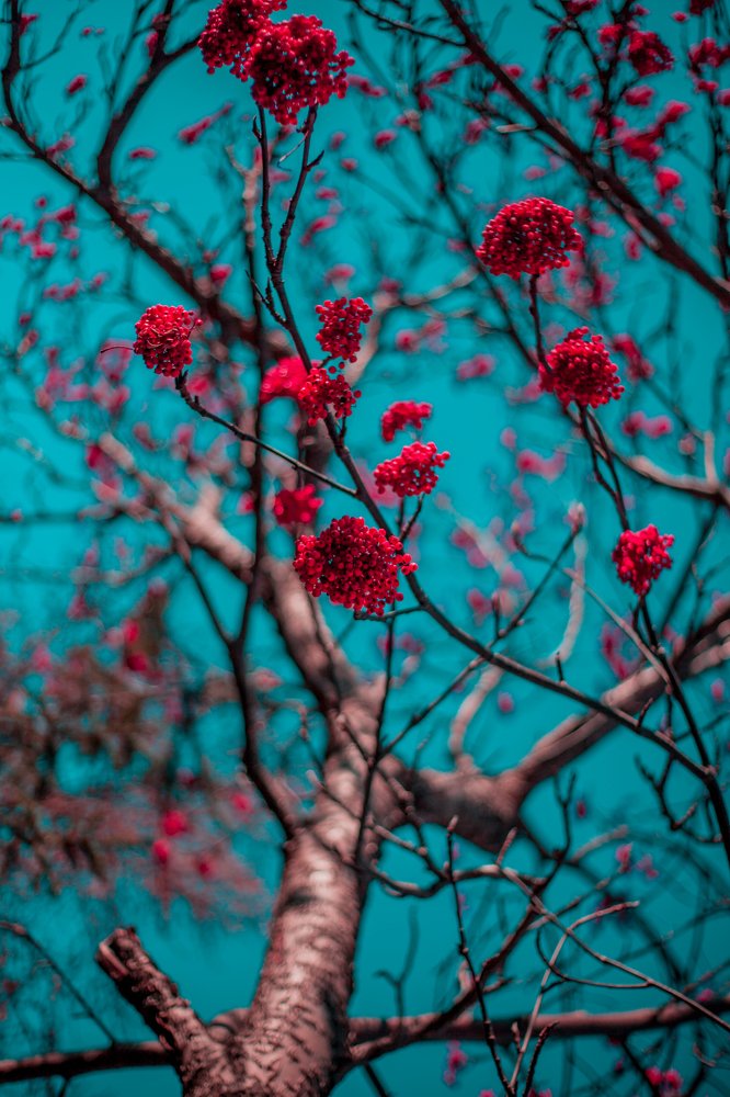 Photograph by Андрей Марченко