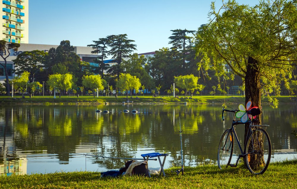 Photograph by Александр Антонов