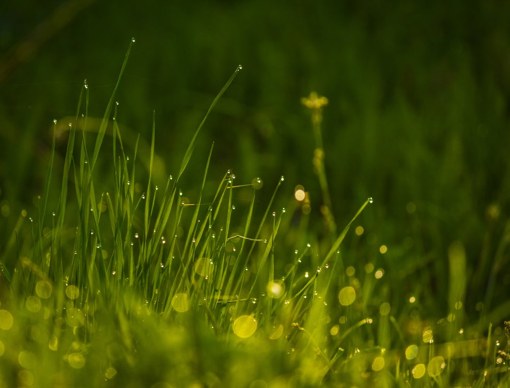 Photograph by Александр Антонов