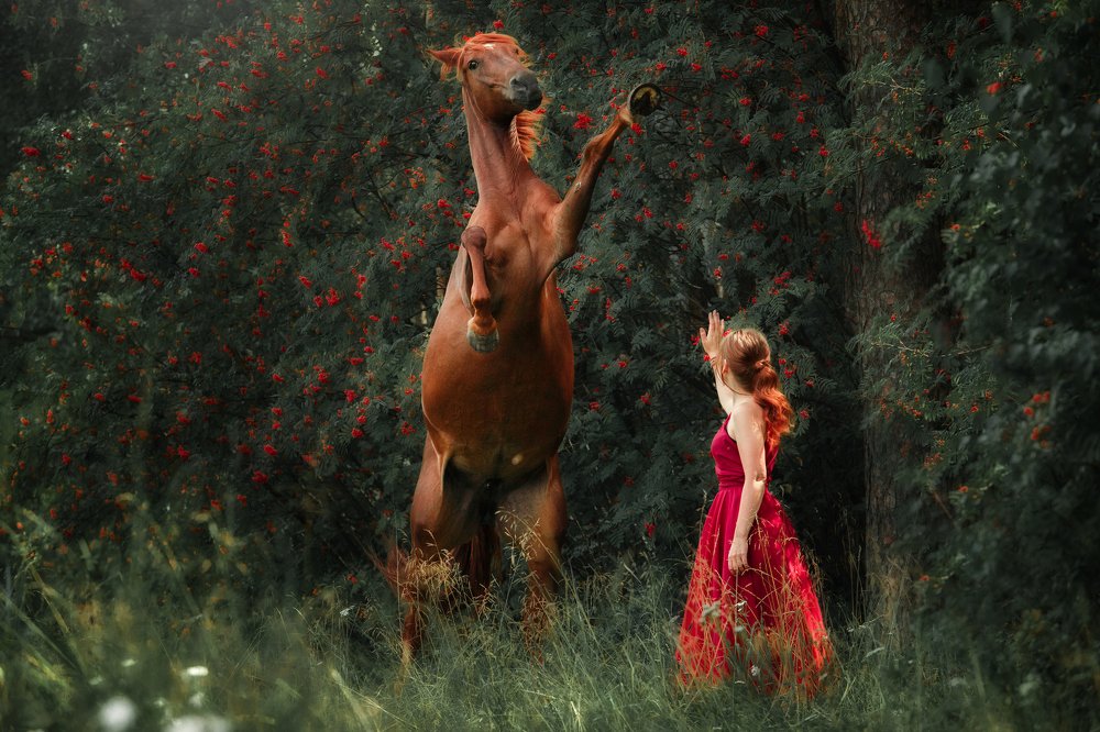 Photograph by Дарья Ералева