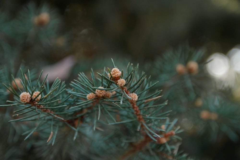 Photograph by Ekaterina