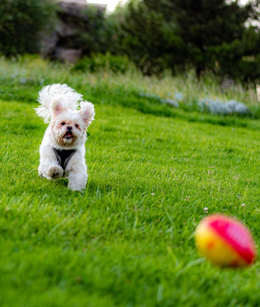 Photograph by Vahid Yavari