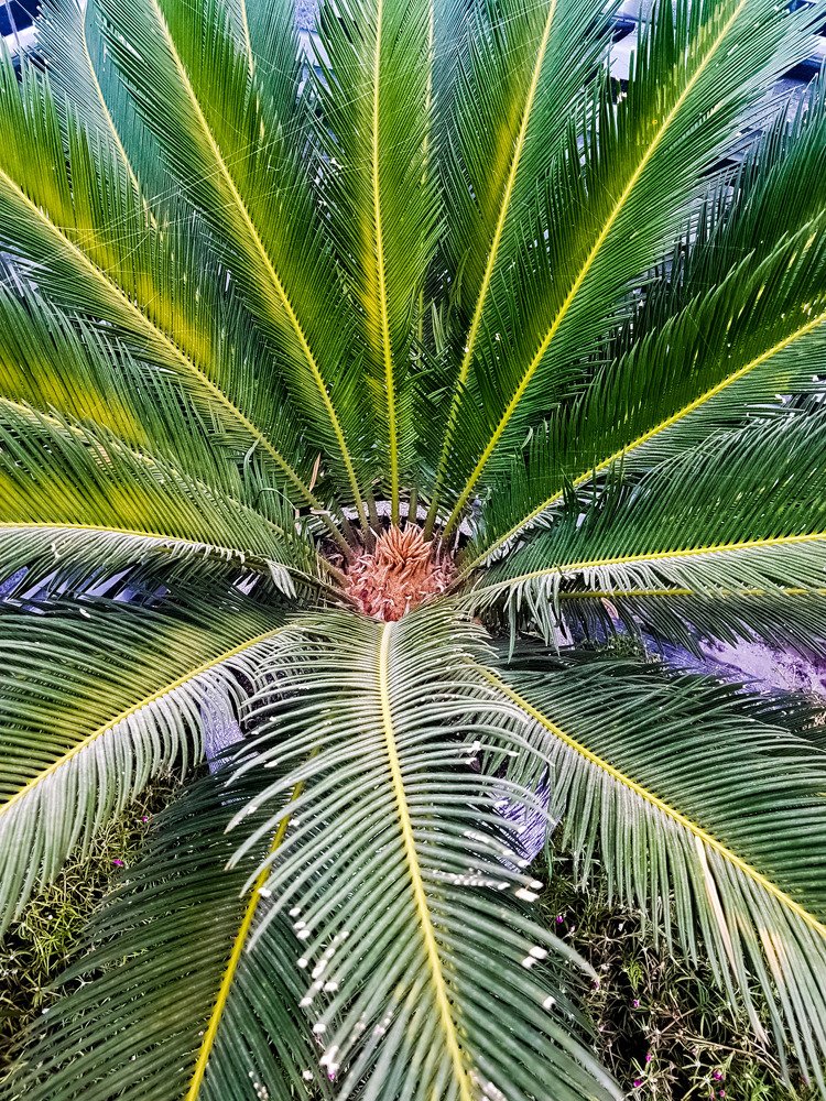 Photograph by Iin Fortunata Angelina