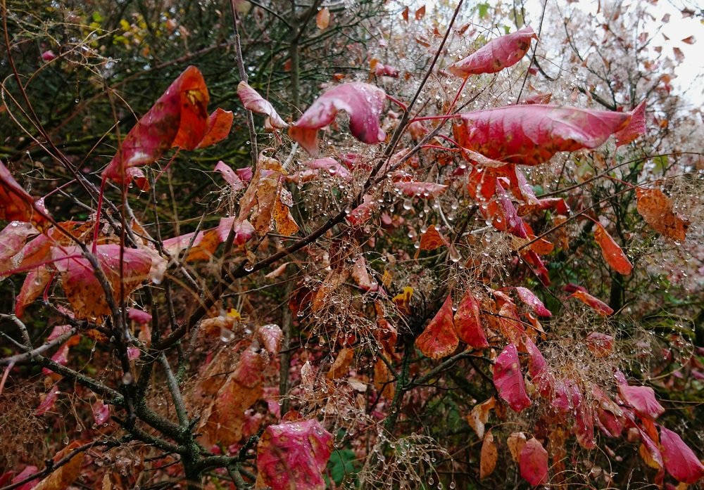 Photograph by Айдын Мехтиев