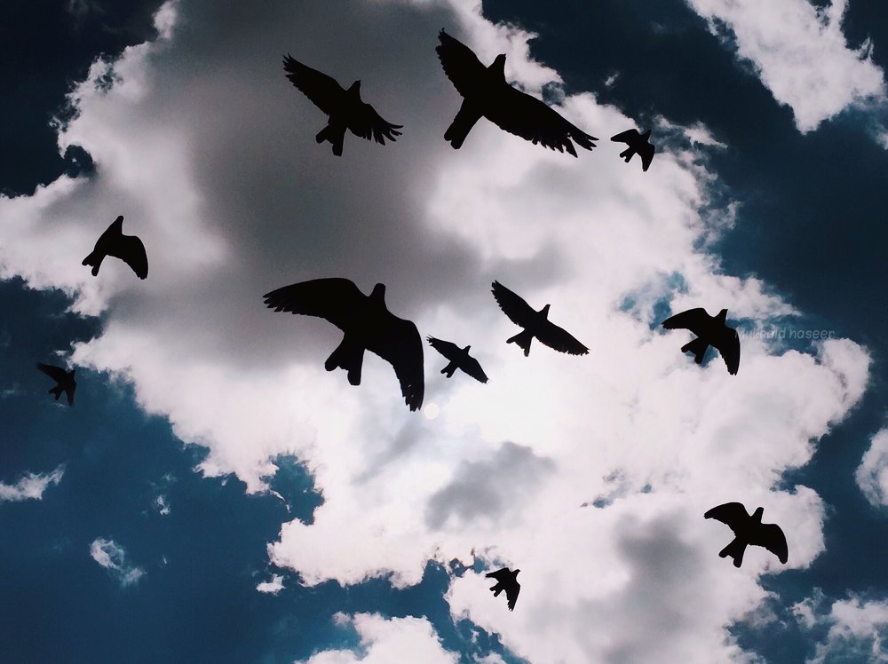 Photograph by Mukhald Alkureshe