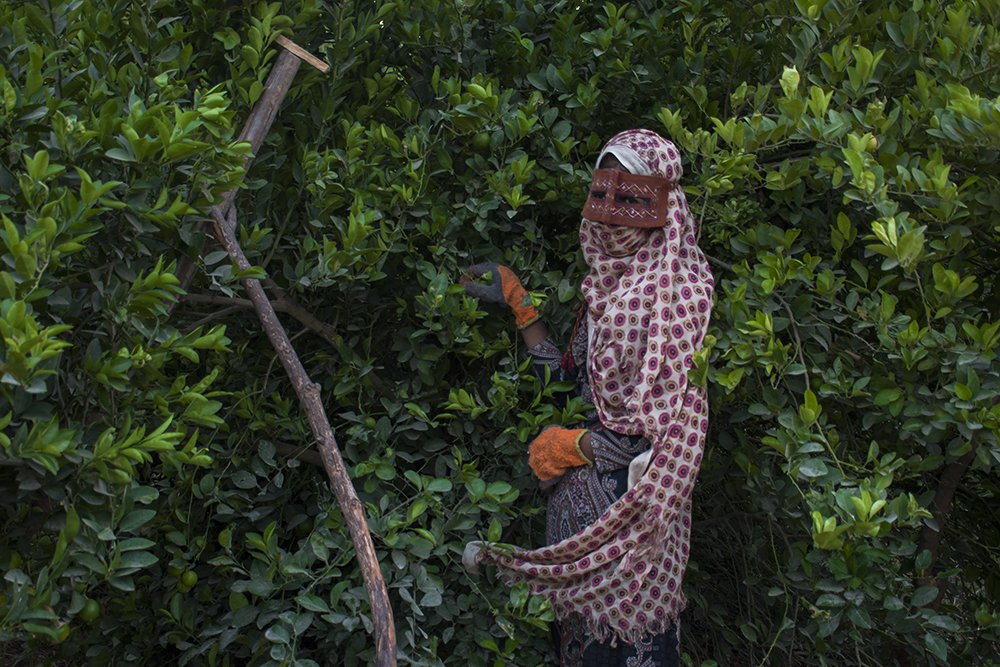 Photograph by  majid