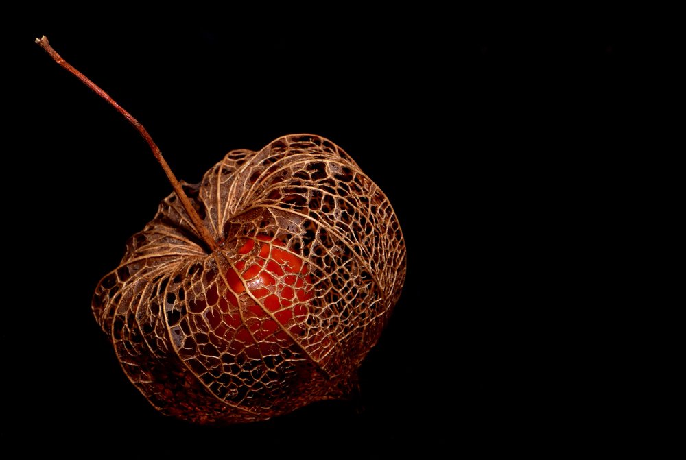 Золото природы