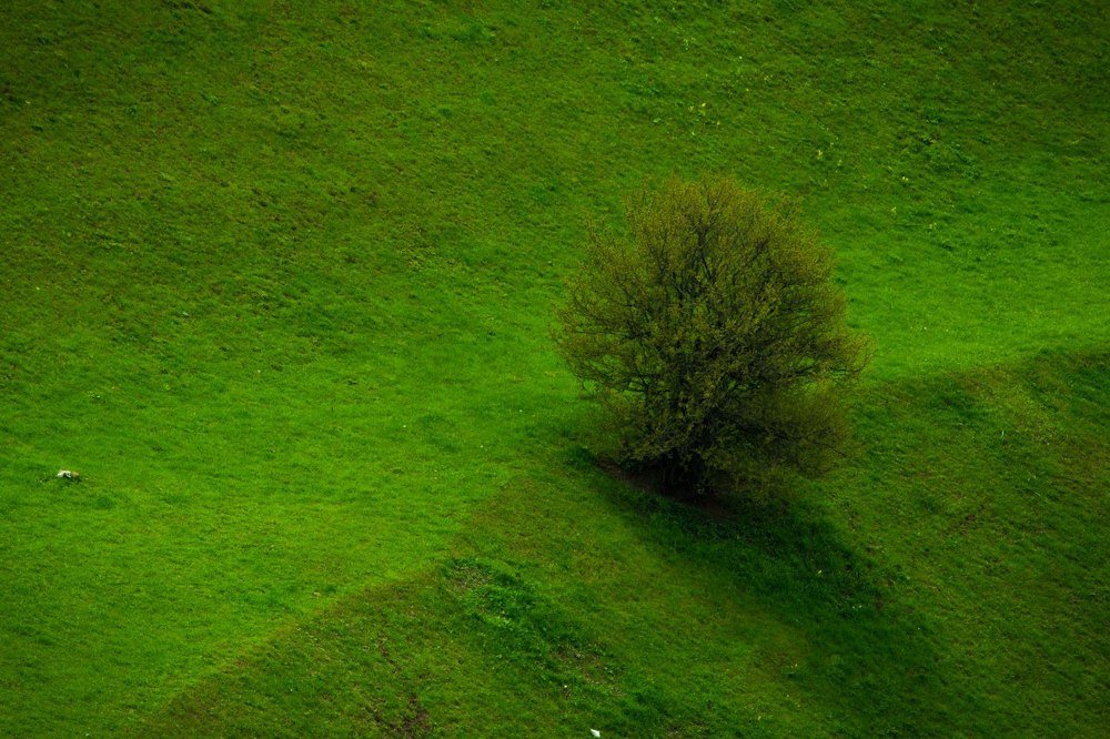 Photograph by amir ali navadeh shahla