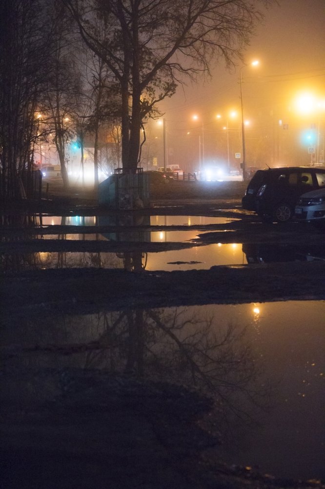 Photograph by Полина Босько