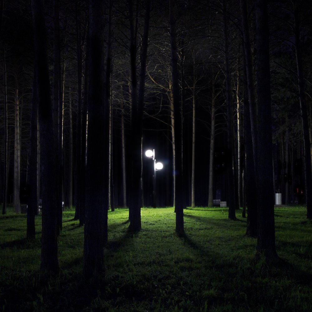 Photograph by Полина Босько