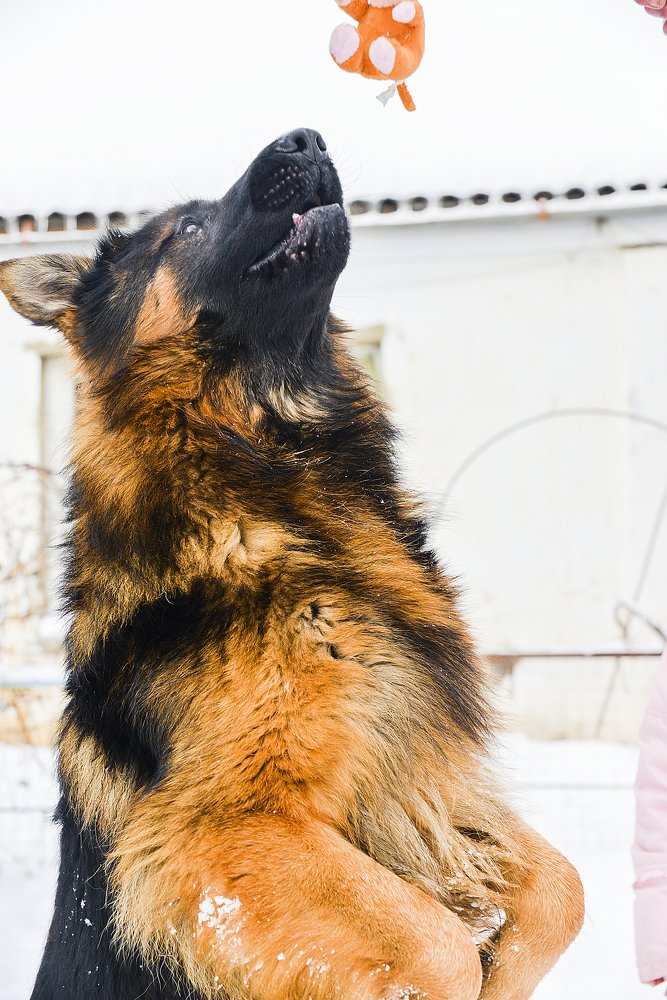 Photograph by Иван Куликов