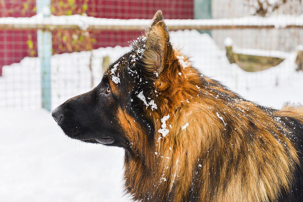 Photograph by Иван Куликов