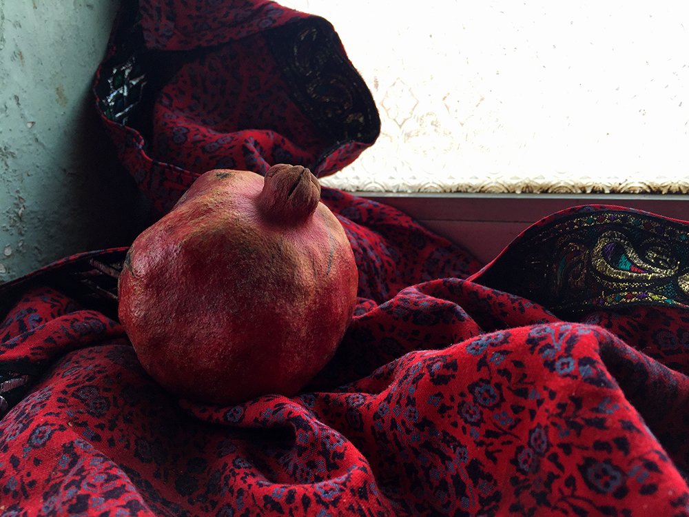 Photograph by T. Ahmadi kalkhorani