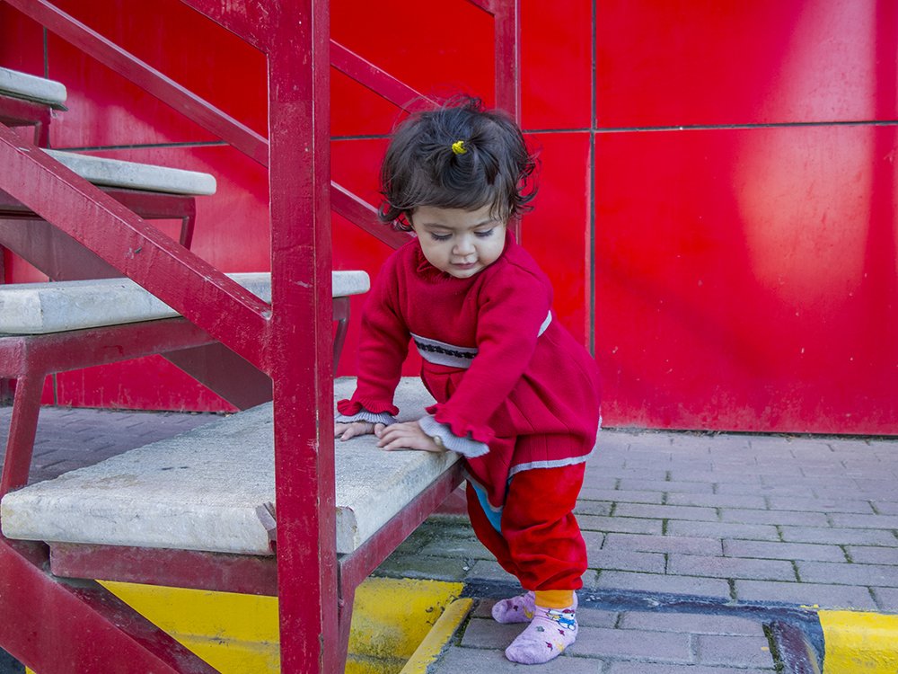 Photograph by T. Ahmadi kalkhorani