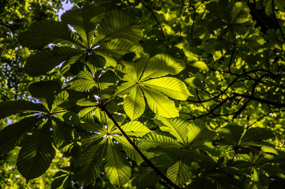 Photograph by Оксана Худякова