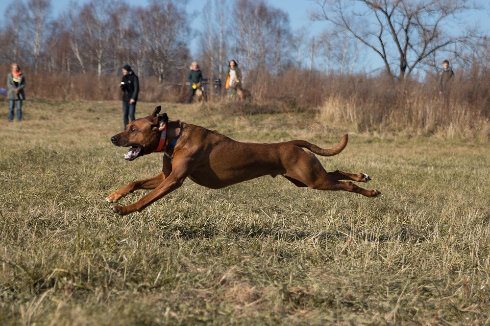 Photograph by Светлана Бевза