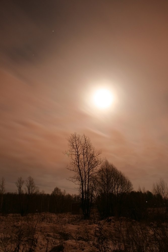 Photograph by Алексей Сафонов