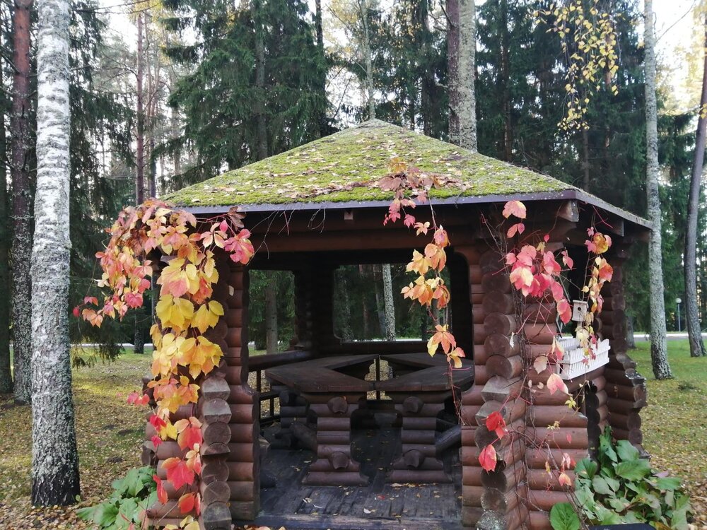 Фотография автора Оля Юхновец