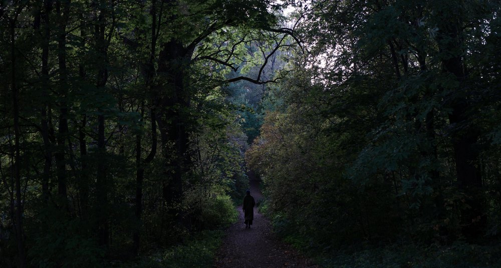 Photograph by Ася Легконогова