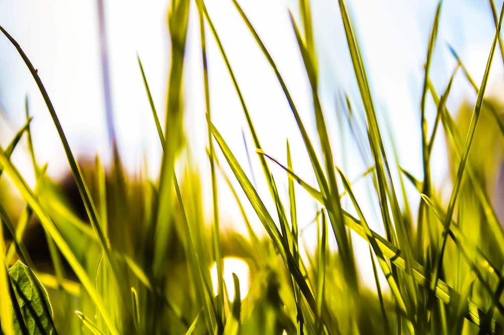 Photograph by Влад Богаткин