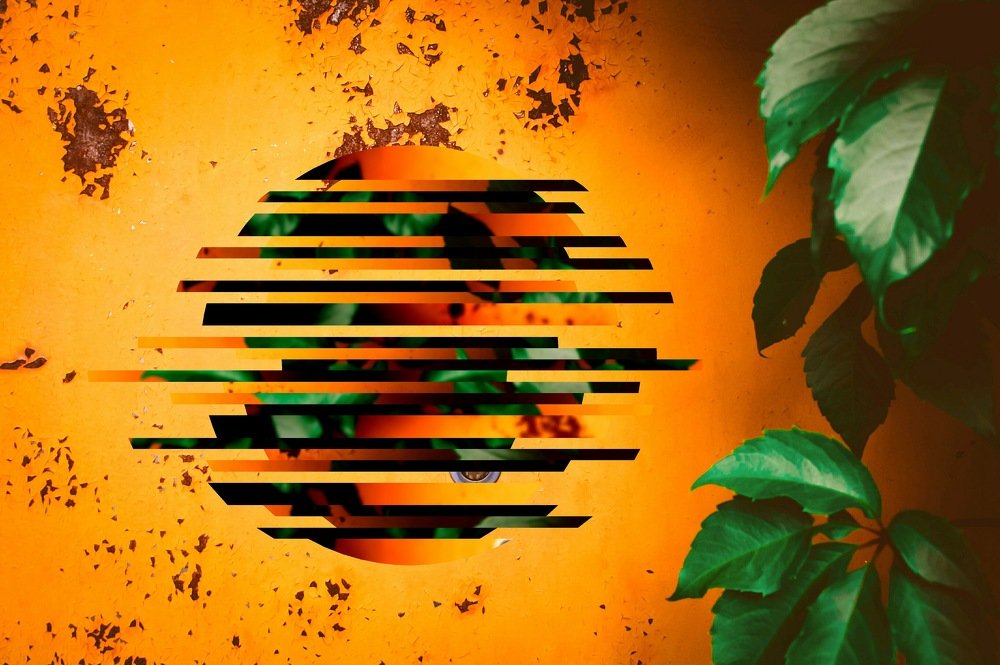 Photograph by Влад Богаткин