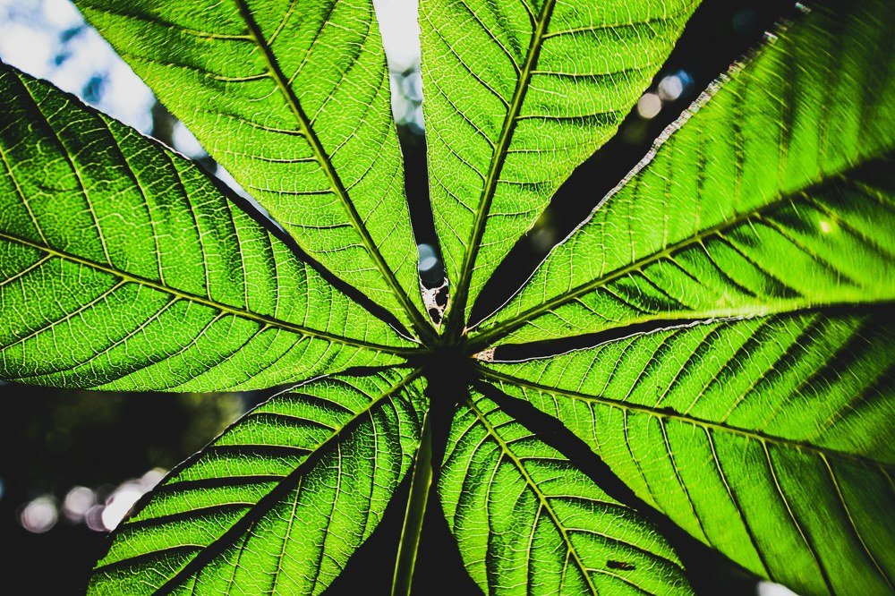 Photograph by Влад Богаткин