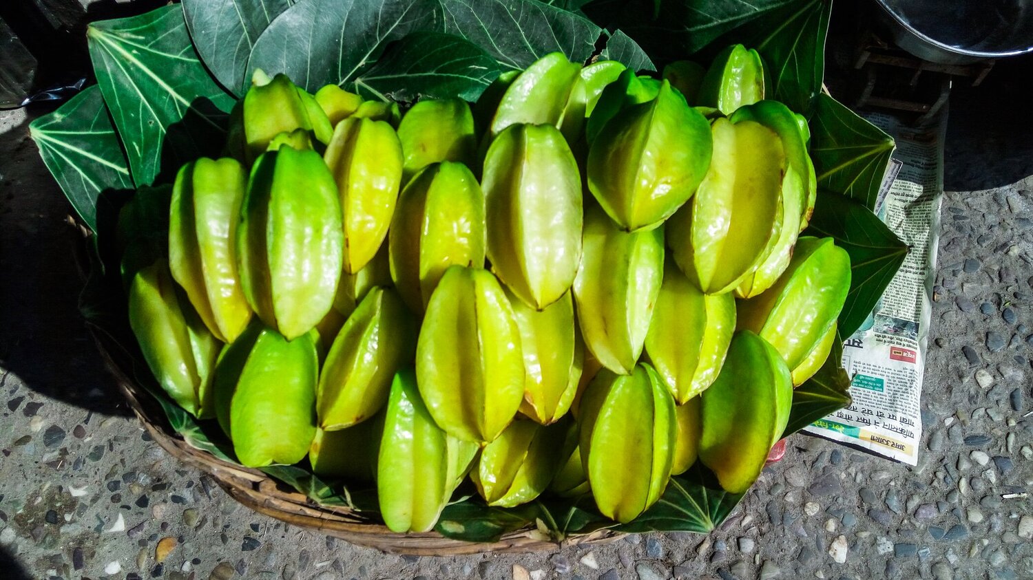 Star Fruit Tastes Little sour as well as Sweet.