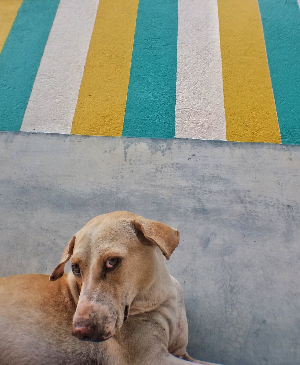 Photo #3786933