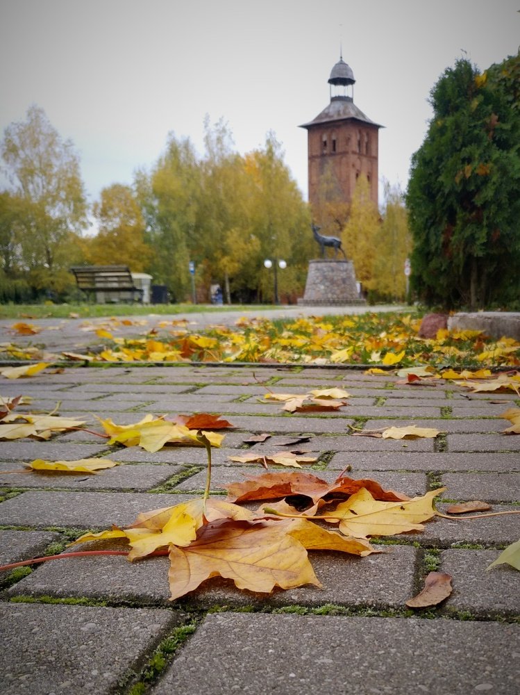 Photograph by Александр Васильев
