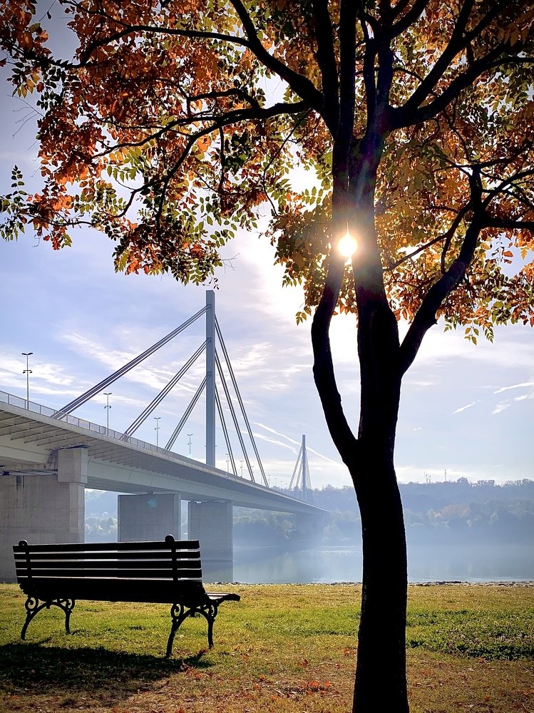 The Morning. Time to rest.