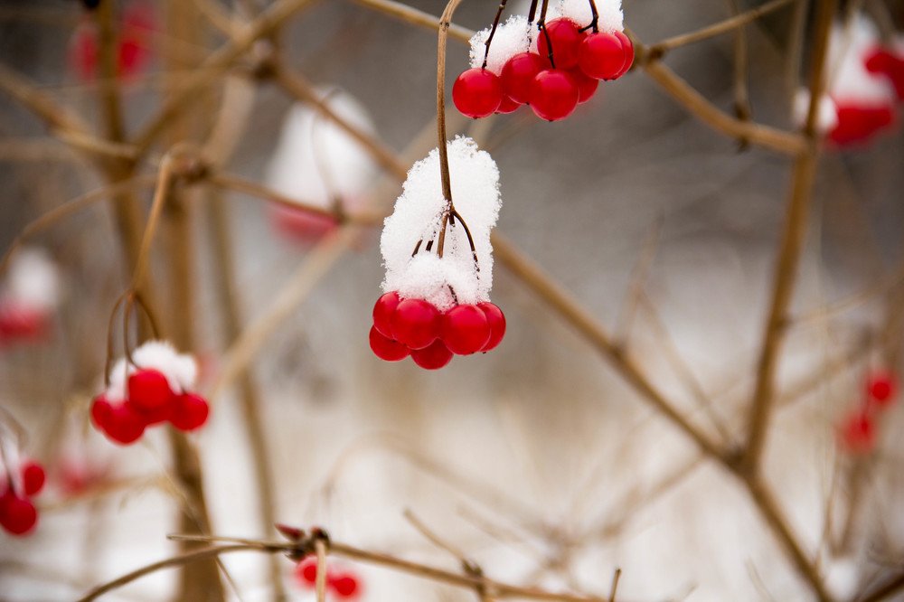 Photograph by Вадим Басов