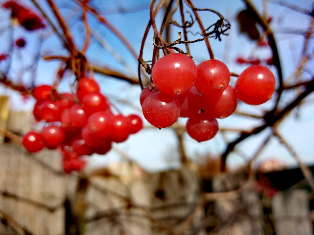 Photograph by Вадим Басов