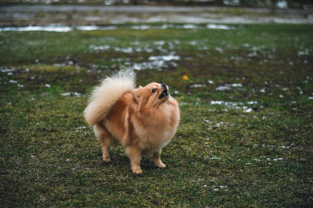 Photograph by Александр Мольков