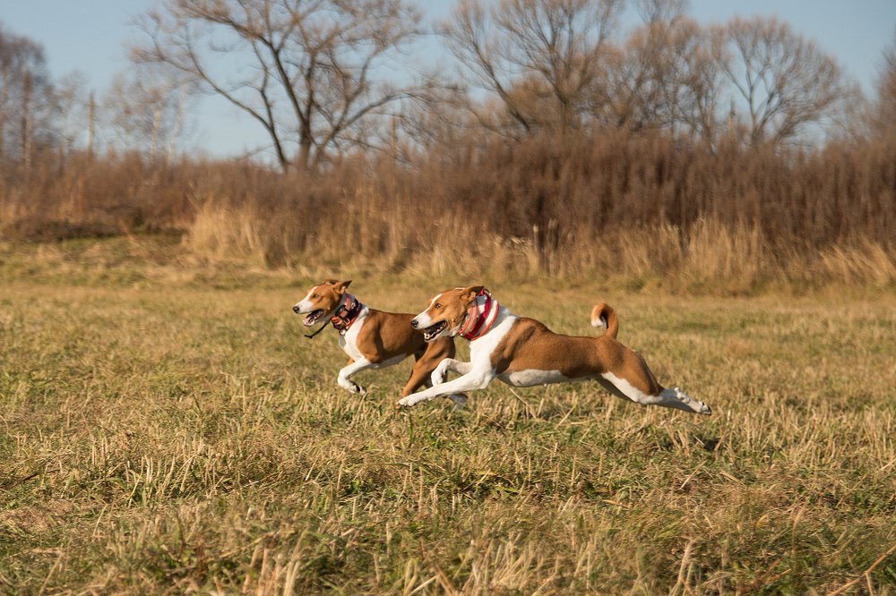 Photograph by Светлана Бевза