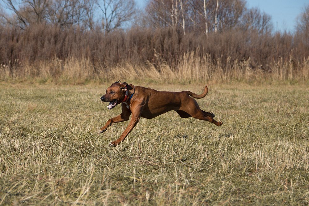 Photograph by Светлана Бевза