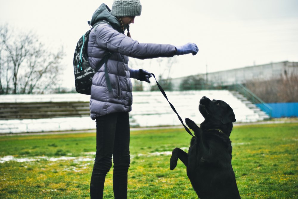 Photograph by Александр Мольков