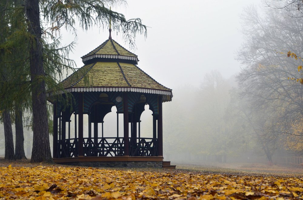 Photograph by Marina