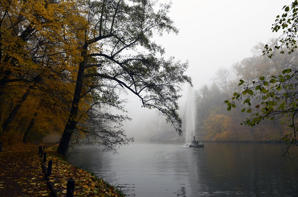 Photograph by Marina