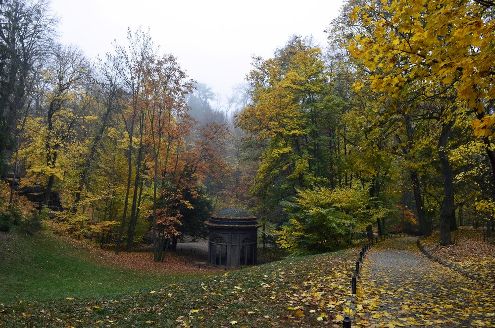 Photograph by Marina