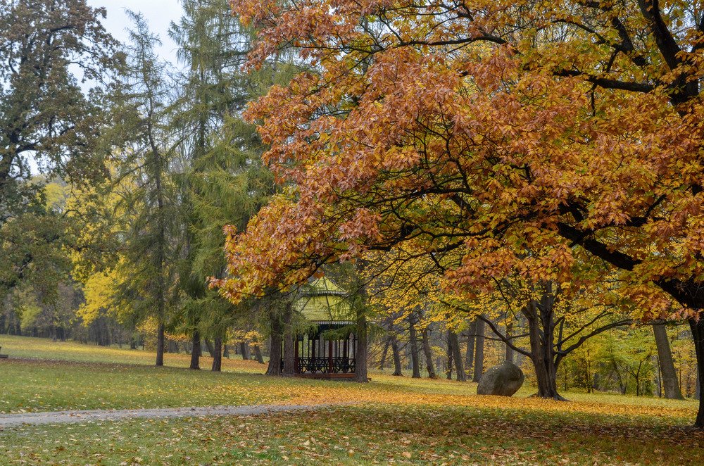 Photograph by Marina