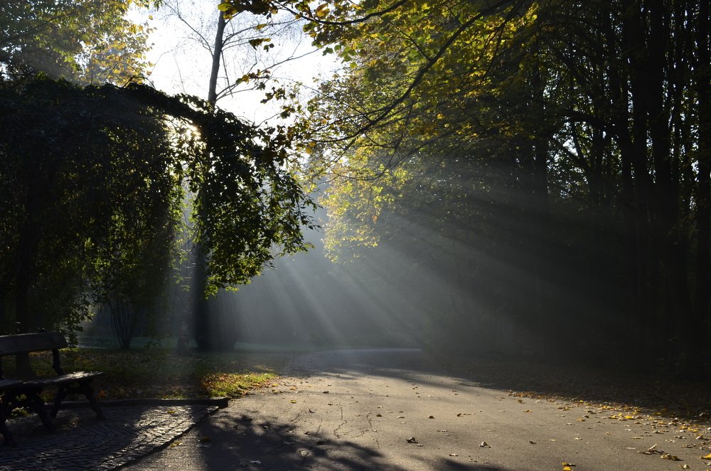 Photograph by Marina