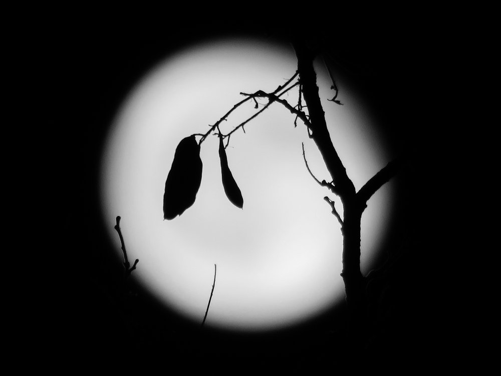 Photograph by Mohammad Sadegh Vasiei