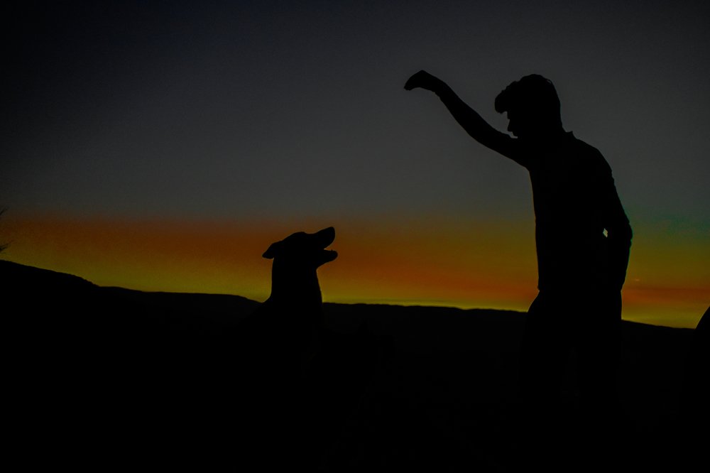 Photograph by Mohammad Sadegh Vasiei